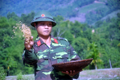 Bộ đội cùng dân đưa ruộng vào vụ mới