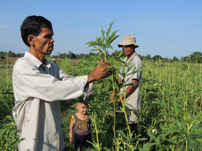 Bài 2: Hiệu quả từ các mô hình phát triển kinh tế