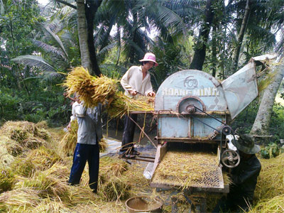 Được mùa nhưng chưa được giá