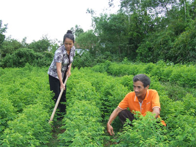 Người dân tự nguyện hiến đất, góp vốn
