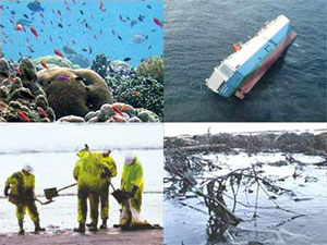 Kêu gọi hưởng ứng Chiến dịch Làm cho thế giới sạch hơn