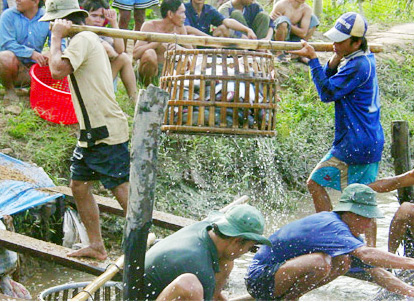 Thương hiệu thủy sản Việt Nam - cần chiến lược lâu dài