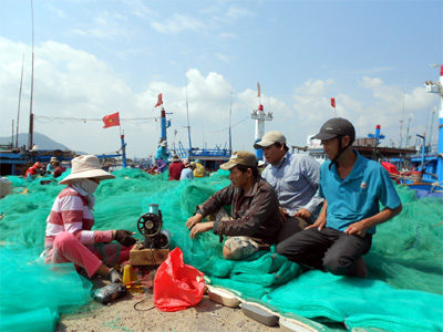 Tôm hùm giống mất mùa, ngư dân gặp khó