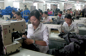 Long An: Dạy nghề và giải quyết việc làm cho lao động nông thôn 