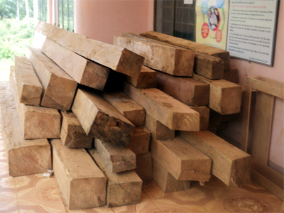 Lâm tặc cướp gỗ lậu