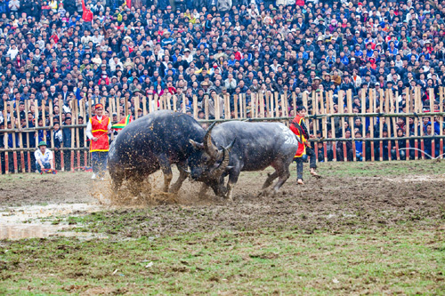 Lễ hội ngày Xuân (phần 2)