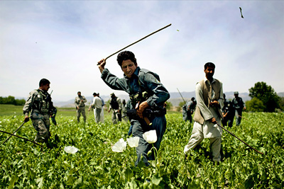 “Cái chết trắng” đe dọa tương lai của Áp-ga-ni-xtan