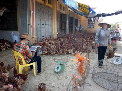 Kích hoạt toàn bộ hệ thống y tế