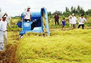 Phó Thủ tướng Vũ Văn Ninh: Không chạy theo thành tích khi xây dựng nông thôn mới 