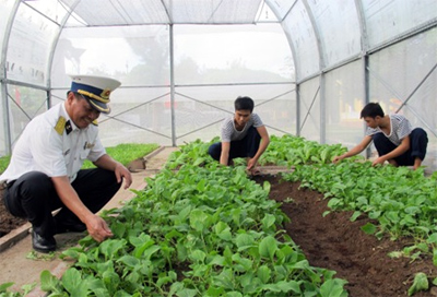 Nhân rộng mô hình tăng gia, chăn nuôi tập trung trên đảo