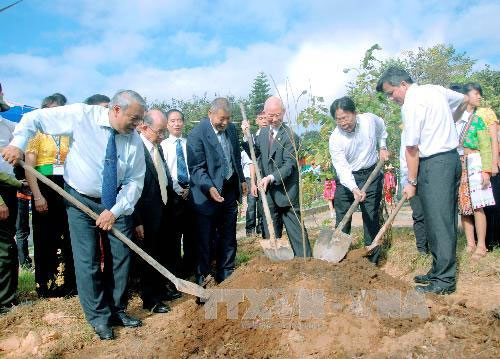 Trồng 1000 cây hoa anh đào tại Di tích Tượng đài Chiến thắng Mường Phăng