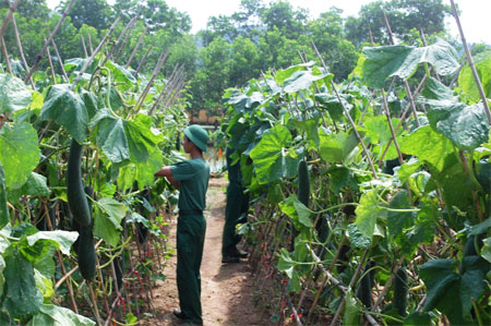 Đầy đủ, chu đáo về mọi mặt