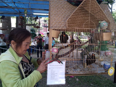 Hiện vật độc đáo tại Hội Hoa xuân