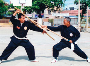 Liên hoan Quốc tế võ cổ truyền Việt Nam năm 2014 diễn ra vào tháng 8, tại tỉnh Bình Định 