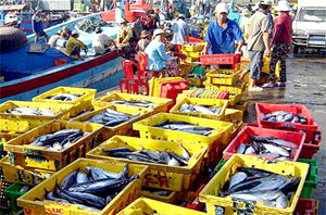 Ưu tiên hỗ trợ vốn phát triển sản xuất, khai thác thủy sản