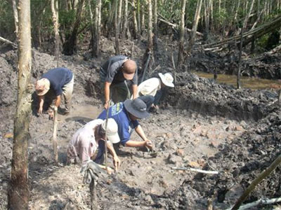 Phát hiện thêm nhiều loại hình di tích, di vật văn hóa Óc Eo ở Gò Tháp 