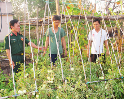 Rau xanh trên đất cằn miền biên ải