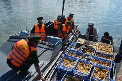 Phòng, chống buôn lậu, gian lận thương mại trên tuyến biên giới Quảng Ninh: Kiên quyết, liên tục, phối hợp hiệu quả