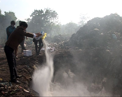 Phát hiện vụ vận chuyển hơn 400 con gà không rõ nguồn gốc