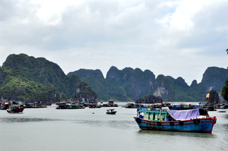 Quảng Ninh: Cấm biển, tất cả tàu thuyền đã về các điểm tránh bão an toàn