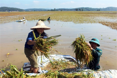 Bộ đội dầm mình giúp dân chạy lũ