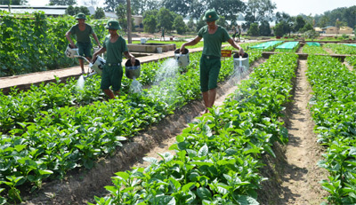 Nhân rộng cách làm hay, mô hình mới