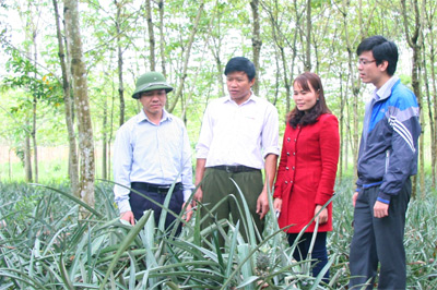 Bài 1: Công khai, dân chủ trong công tác cán bộ