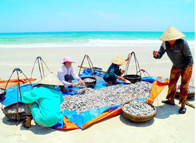 Mỹ Thủy - Sức sống ở một làng ven biển