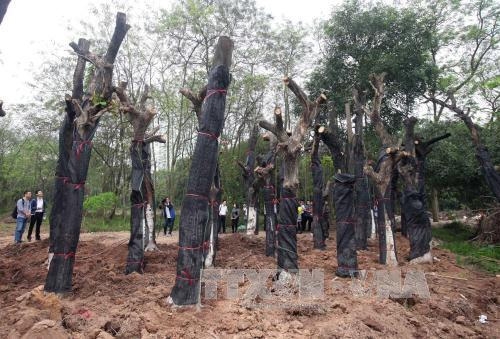 Chưa phát hiện thất thoát, tiêu cực