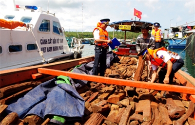Bắt giữ tàu vận chuyển gỗ trái phép