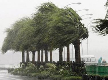 Cảnh báo gió mạnh, sóng lớn trên biển