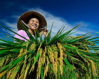 “Nông dân giàu thì nước ta giàu”