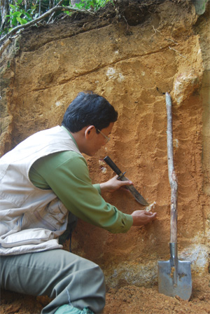 Vị tiến sĩ “phải lòng” những cánh rừng