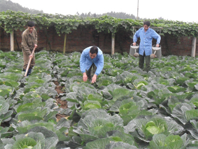 Thu hơn 4 tỷ đồng từ tăng gia sản xuất