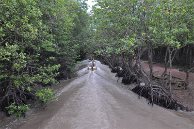 Chưa hấp dẫn du khách, vì sao?