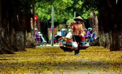 Mùa lá rụng