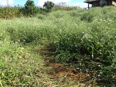 Du lịch có trách nhiệm: Du khách Việt ngày càng mất điểm (bài 1)