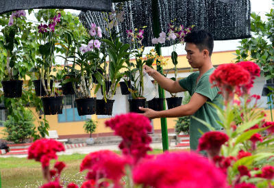 Xanh, sạch đón Tết