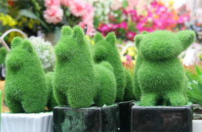 Cây, quả “ độc” hút khách trong dịp Tết Giáp Ngọ