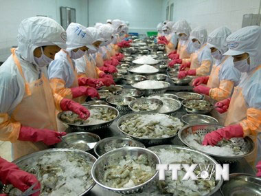 VASEP sẽ kiện việc áp thuế chống bán phá giá tôm