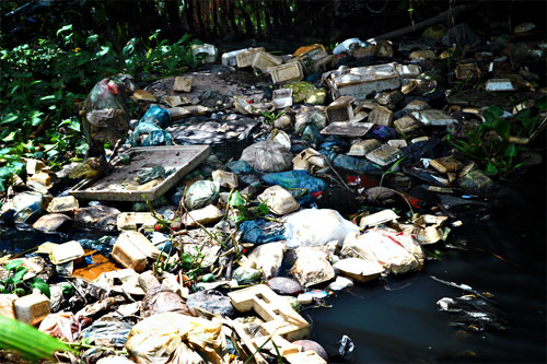 Nhiều con rạch nước đen trong lòng thành phố