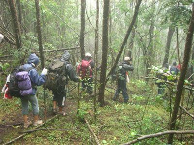 Du lịch Cúc Phương, hành trình trở về với thiên nhiên