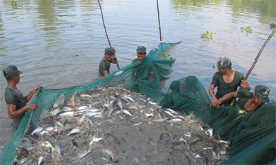 Biến sỏi đá thành “mật ngọt”