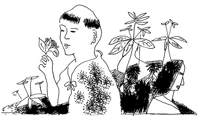 Còn thương hoa sữa lạc mùa