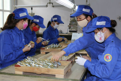 Chuyên mục mới, đáp ứng mong đợi của bạn đọc