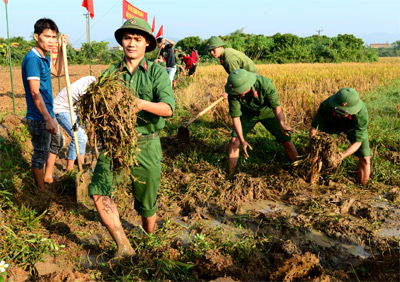 Tình quân dân cá nước