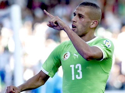 “Cáo” săn mồi