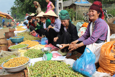 Trên đỉnh đèo Pha Đin