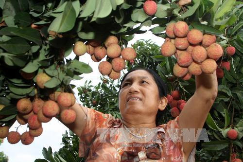 Nỗ lực cao nhất để thực hiện thắng lợi các mục tiêu, nhiệm vụ