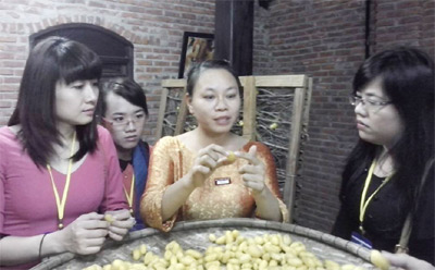 Làng lụa Hội An, điểm du lịch độc đáo